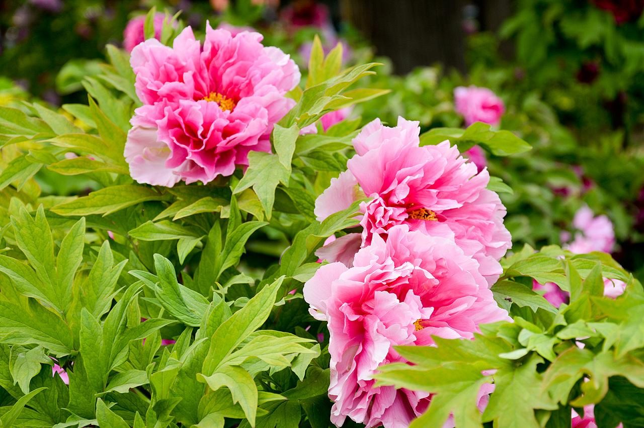 1554088124838497.jpg 1554088124838497.jpg