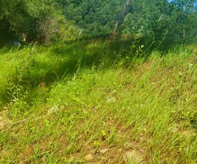 柳關(guān)欒盧鉛鋅礦|治理排土“瘡疤”，繪就綠色畫(huà)卷